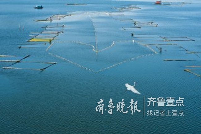 水資源壓力下棗莊力推新規 從開源轉向精細化管水